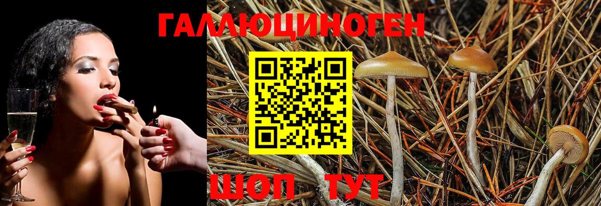 Галлюциногенные грибы Magic Shrooms  Псилоцибиновые грибы мухоморы  Чайковский  Вход с VPN 